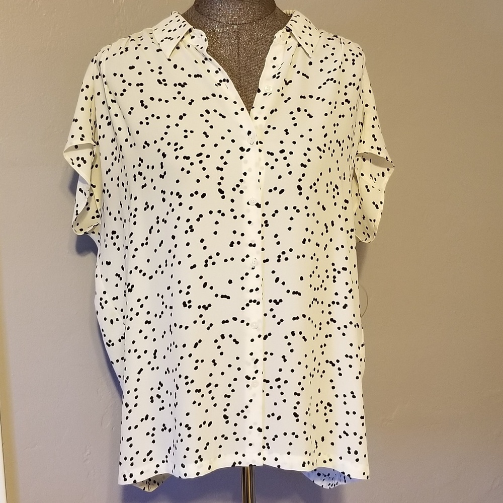 Ann Taylor Loft polka dot blouse